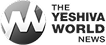 Partner logo 6